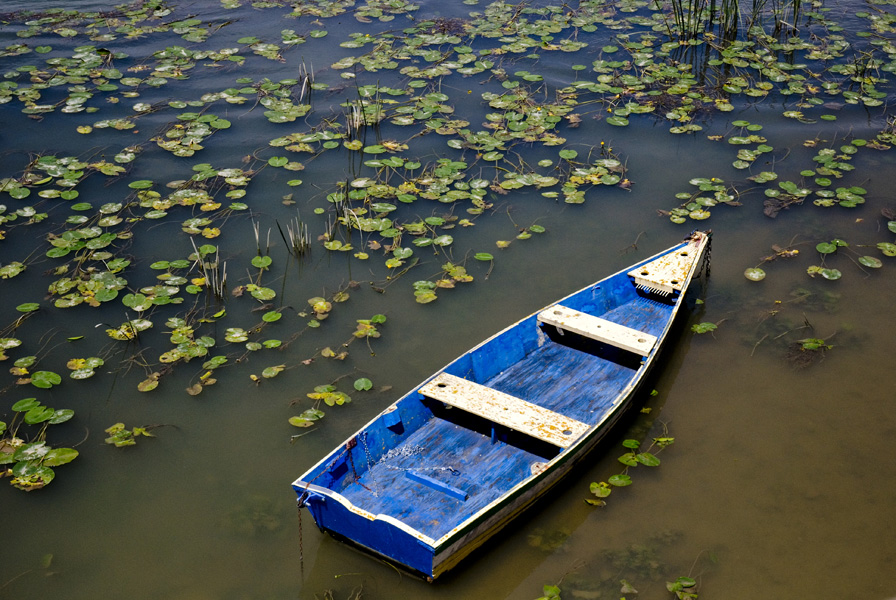 Barque