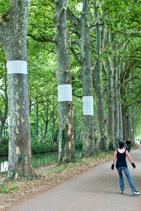 Chemin d'eau - 