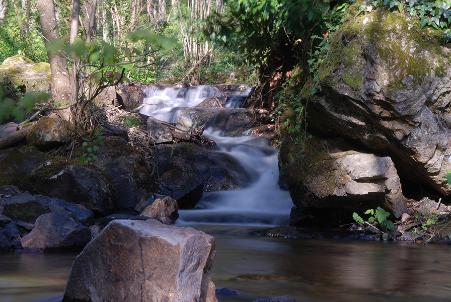 Ruisseau de l'aiguebelle